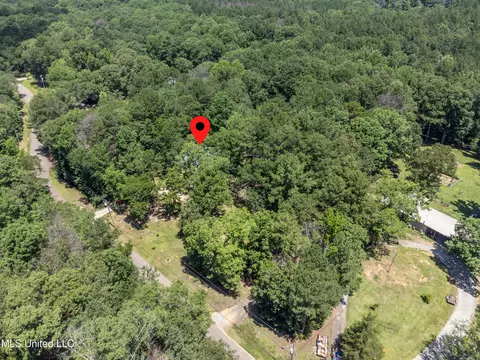 View/Area - 245 Coon Hunters Rd, Brandon, MS 39042 photo 2 of 5