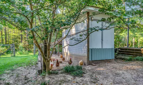 Exterior - 245 Coon Hunters Rd, Brandon, MS 39042 photo 12 of 23