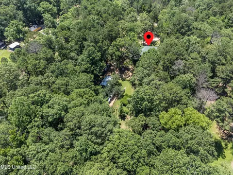 View/Area - 245 Coon Hunters Rd, Brandon, MS 39042 photo 4 of 5