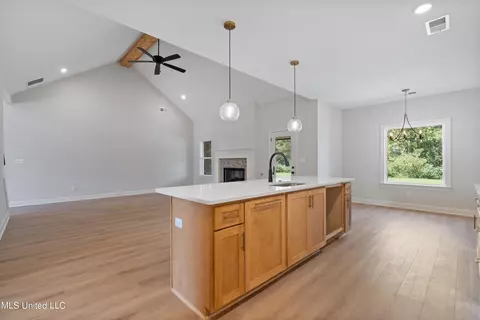 Other - 14218 Hidden Loop, Byhalia, MS 38611 photo 3 of 9