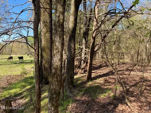 710 Rowell Rd, Coldwater, MS 38618 photo 5