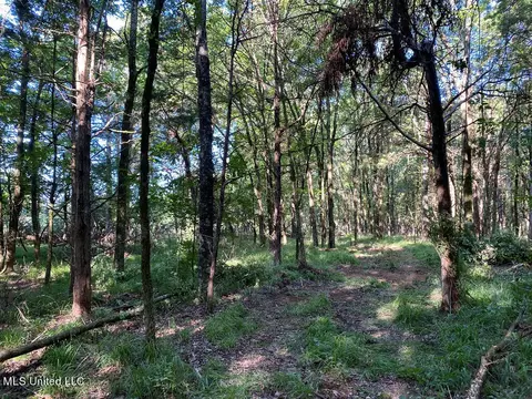 710 Rowell Rd, Coldwater, MS 38618 photo 4