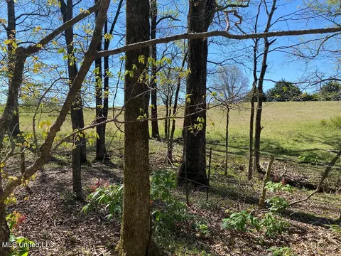 710 Rowell Rd, Coldwater, MS 38618 photo 7