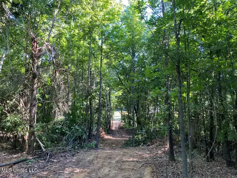 710 Rowell Rd, Coldwater, MS 38618 photo 3