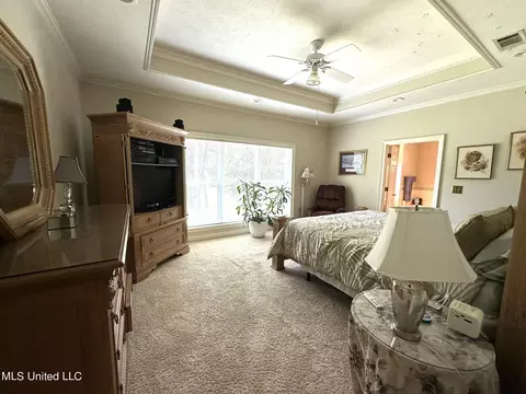 485 Cheyenne Ln, Madison, MS 39110 photo 19