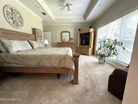 485 Cheyenne Ln, Madison, MS 39110 photo 20
