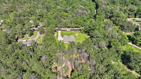 View/Area - 136 Jims Rd, Lena, MS 39094 photo 4 of 6