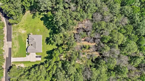 View/Area - 136 Jims Rd, Lena, MS 39094 photo 3 of 6