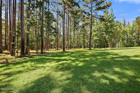 Exterior - 136 Jims Rd, Lena, MS 39094 photo 10 of 15