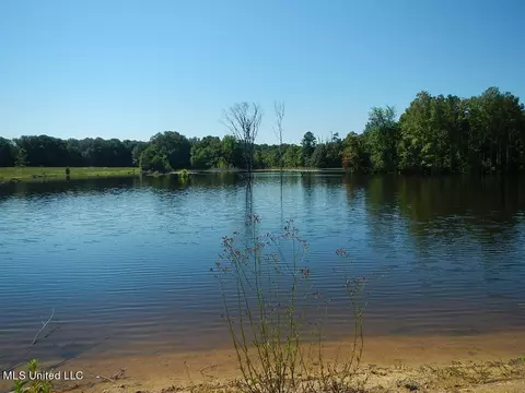 919 Endris Rd, Canton, MS 39046 photo 1