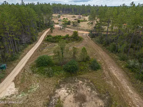 View/Area - 10552 Hunt Rd, Vancleave, MS 39565 photo 2 of 2