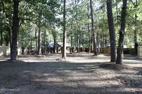206 Redbud Trl, Brandon, MS 39047 photo 29