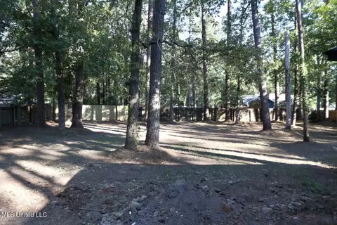 206 Redbud Trl, Brandon, MS 39047 photo 32