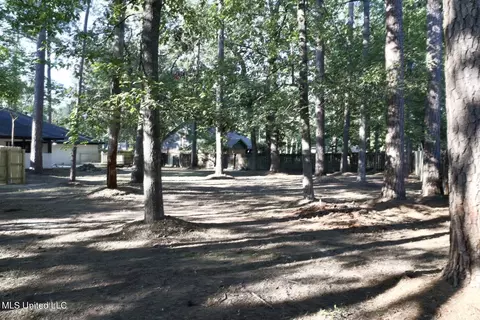 206 Redbud Trl, Brandon, MS 39047 photo 31