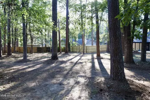 206 Redbud Trl, Brandon, MS 39047 photo 30
