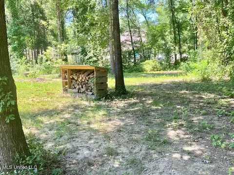 102 Harvest Rd, Coldwater, MS 38618 photo 11