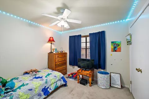 449 Green Leaf Trl, Madison, MS 39110 photo 15