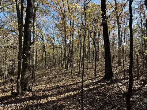 Hwy 429, Sallis, MS 39160 photo 2