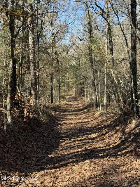 Hwy 429, Sallis, MS 39160 photo 13