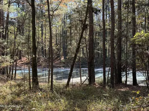 Hwy 429, Sallis, MS 39160 photo 4