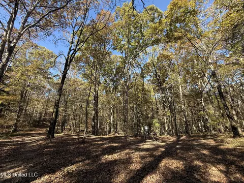 Hwy 429, Sallis, MS 39160 photo 15