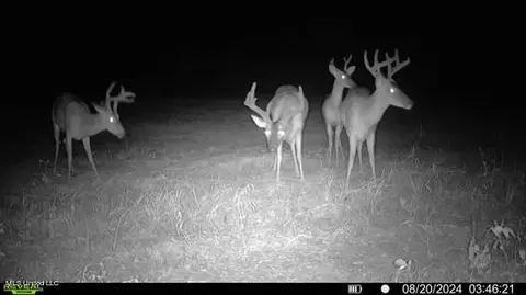 Hwy 429, Sallis, MS 39160 photo 41