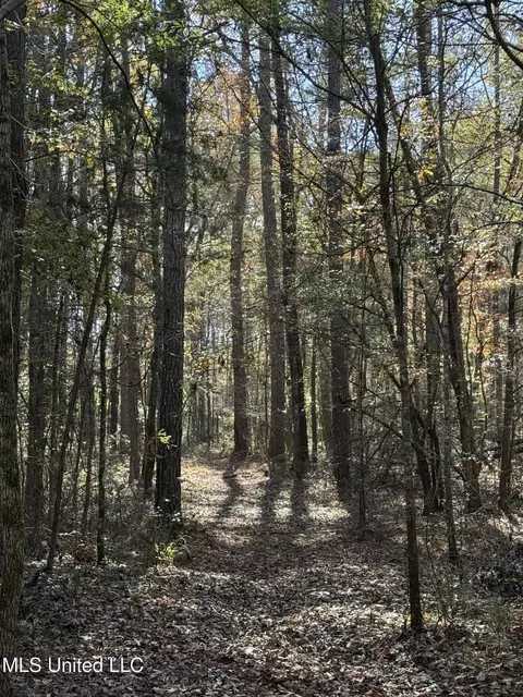 Hwy 429, Sallis, MS 39160 photo 31
