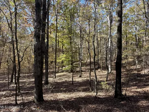 Hwy 429, Sallis, MS 39160 photo 17