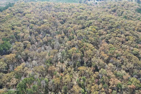 Hwy 429, Sallis, MS 39160 photo 8