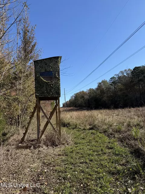 Hwy 429, Sallis, MS 39160 photo 27