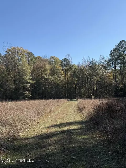 Hwy 429, Sallis, MS 39160 photo 33