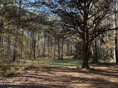 Hwy 429, Sallis, MS 39160 photo 3
