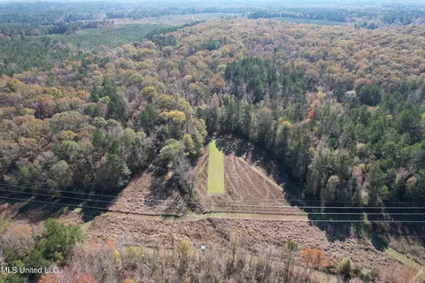 Hwy 429, Sallis, MS 39160 photo 7