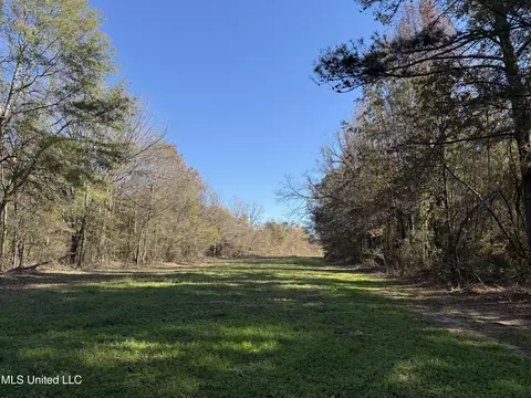 Hwy 429, Sallis, MS 39160 photo 25