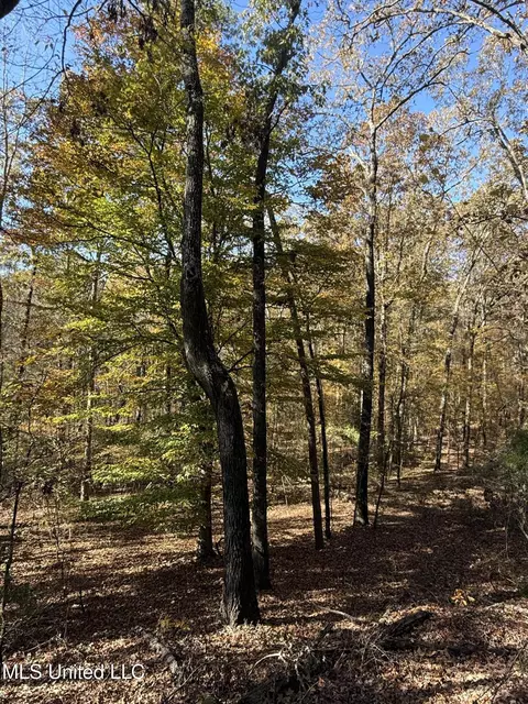 Hwy 429, Sallis, MS 39160 photo 21
