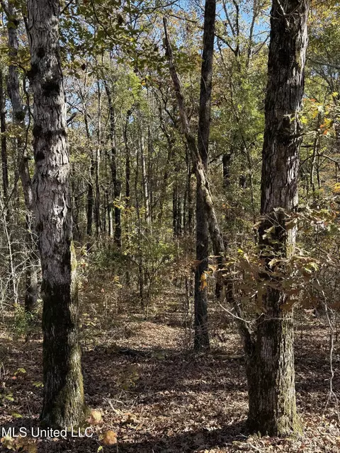 Hwy 429, Sallis, MS 39160 photo 12