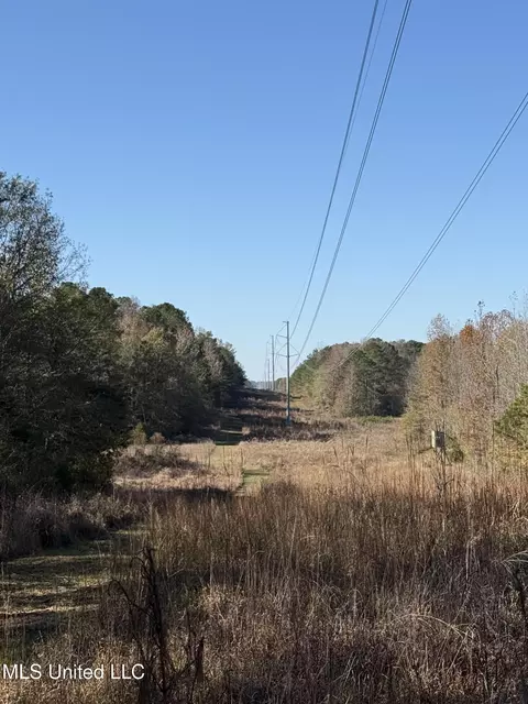 Hwy 429, Sallis, MS 39160 photo 28
