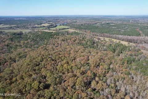 Hwy 429, Sallis, MS 39160 photo 9
