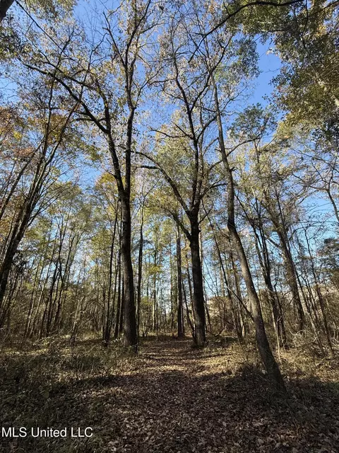 Hwy 429, Sallis, MS 39160 photo 32