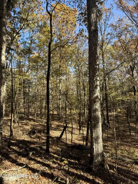 Hwy 429, Sallis, MS 39160 photo 18