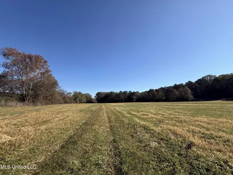 Hwy 429, Sallis, MS 39160 photo 24