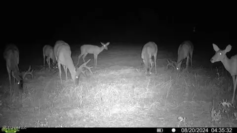 Hwy 429, Sallis, MS 39160 photo 42