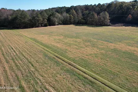 Hwy 429, Sallis, MS 39160 photo 10