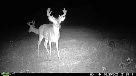 Hwy 429, Sallis, MS 39160 photo 38