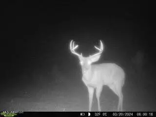 Hwy 429, Sallis, MS 39160 photo 46