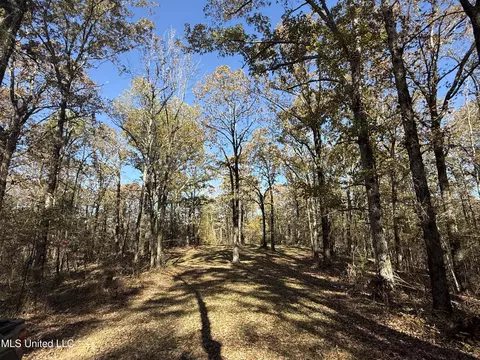 Hwy 429, Sallis, MS 39160 photo 34