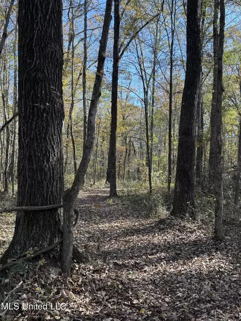 Hwy 429, Sallis, MS 39160 photo 29