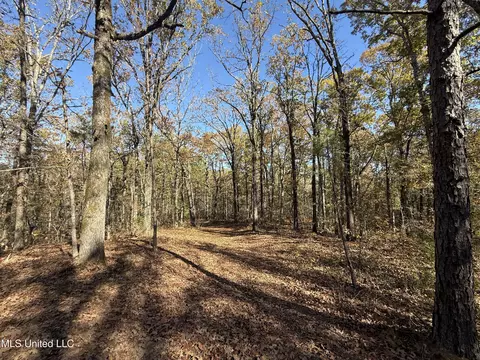 Hwy 429, Sallis, MS 39160 photo 11