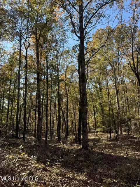 Hwy 429, Sallis, MS 39160 photo 16