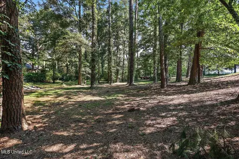 Exterior - 255 Nub Mcnair Rd, Magee, MS 39111 photo 9 of 14